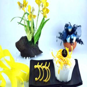 MANGO CUP